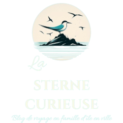 LA STERNE CURIEUSE